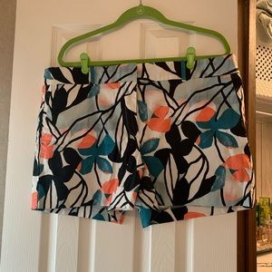 Ann Taylor Shorts Bundle